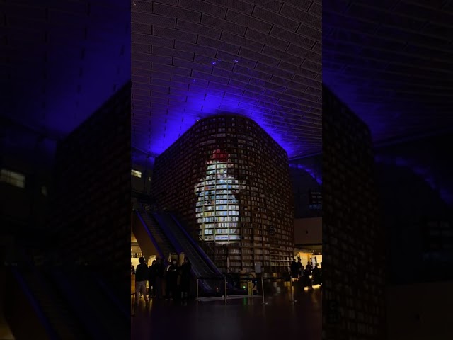 코엑스몰 별빛마당 도서관 2022년 11월24일