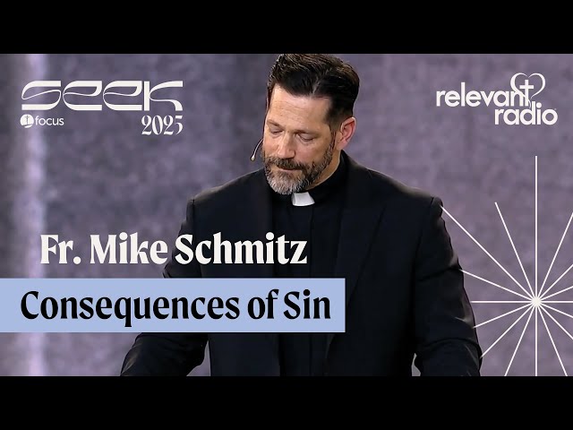 SEEK25 - Fr. Mike Schmitz - Consequences of Sin