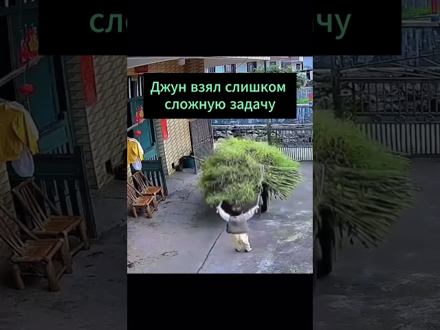ТГ: masha_codeca #фронтенд #coding #programming