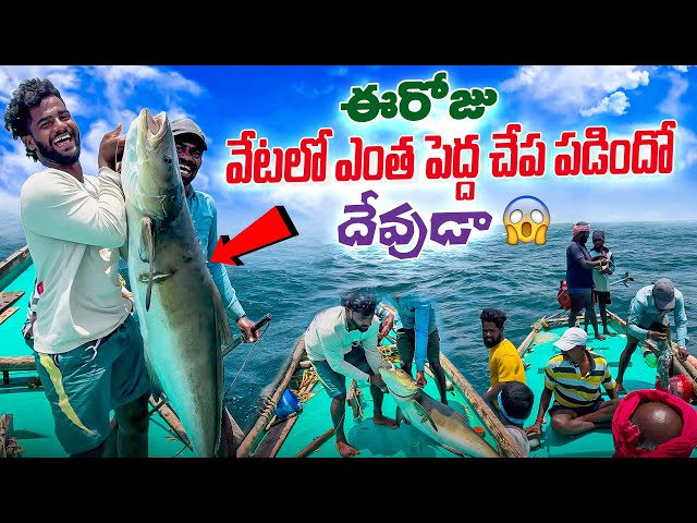 #fish #Fisherman #🌊🌫️ #beachfishing #fishing #fishingmethods #fishingtechniques #fishing
