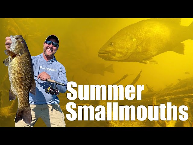 Summer Smallmouth Secrets: Light Tackle Mastery