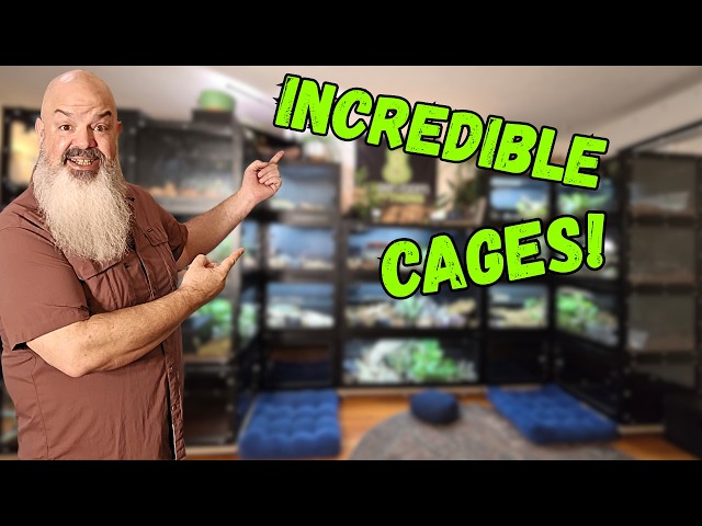 The Green Room Gets The Biggest Upgrade Ever