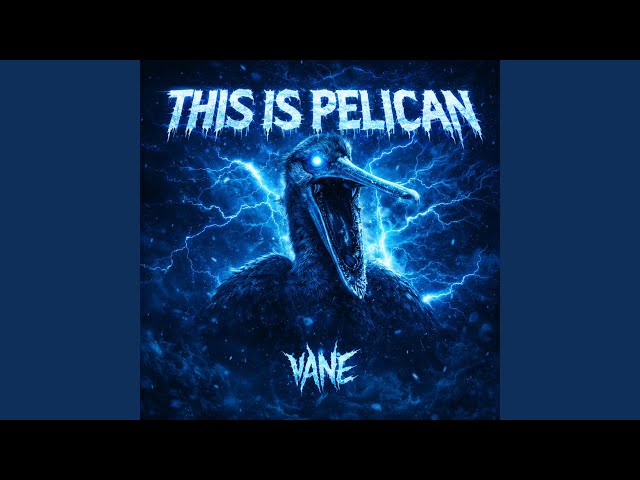 This Is Pelican