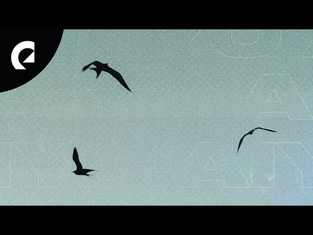 Aiyo - Sweet Escape