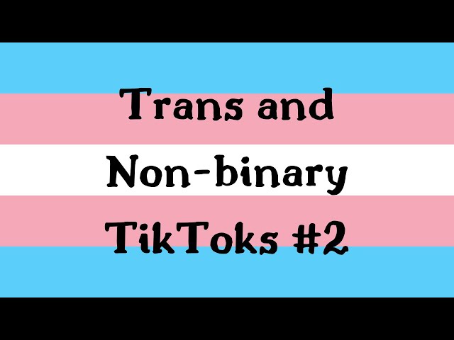 trans and non-binary tiktoks