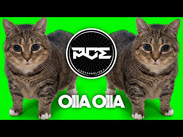 TECHNO ● W&W - OIIA OIIA .Spinning Cat (Thomas Deil & Rave Heaven Remix)