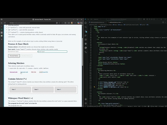 Attribute Selectors Demo