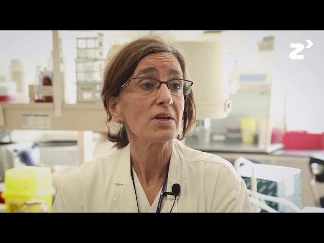 Proyecto Síndrome de Angelman - zinkinn.es