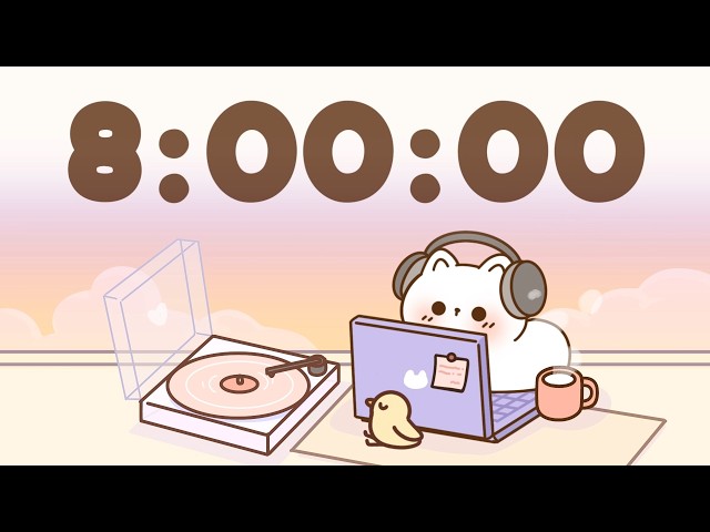 8 Hour Timer 🐱 8 Hr Study Timer for Classroom Focus