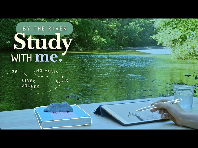 3 HOUR STUDY WITH ME 🌾🦆 / Summer Day At The River / 💦 River and Nature Ambience  / No Music / 50-10