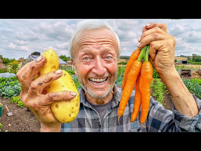 June No Dig Garden Tour | Harvests, New Plantings & Growth