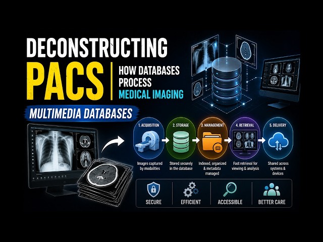 Deconstructing PACS | How Databases Process Medical Imaging | Multimedia Databases