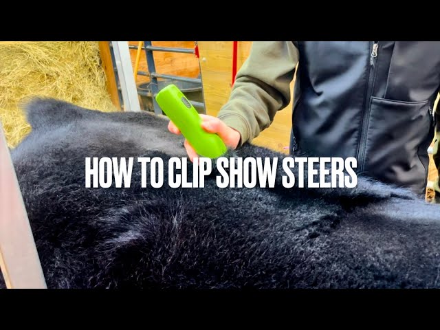 How To Clip Show Steers