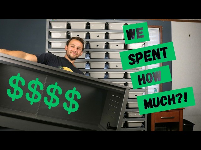 You Won't Believe How Much I Paid for These Enclosures!