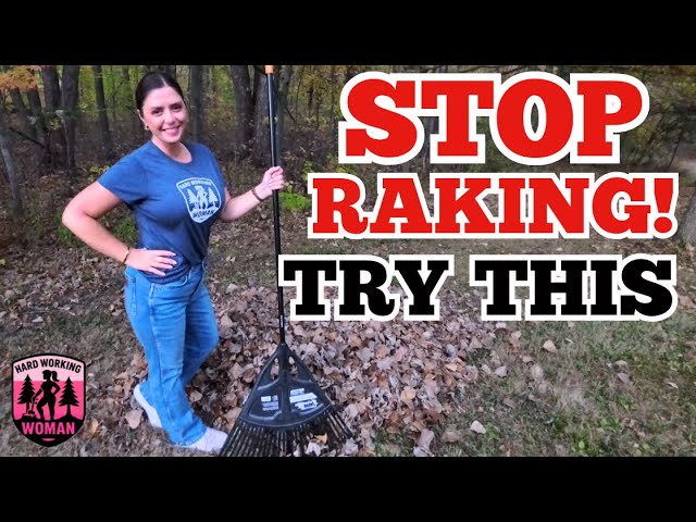 This Leaf Cleanup Trick Saves Hours!