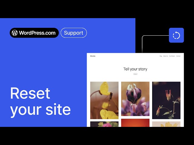 Thinking of Resetting Your WordPress Site? Watch This First!