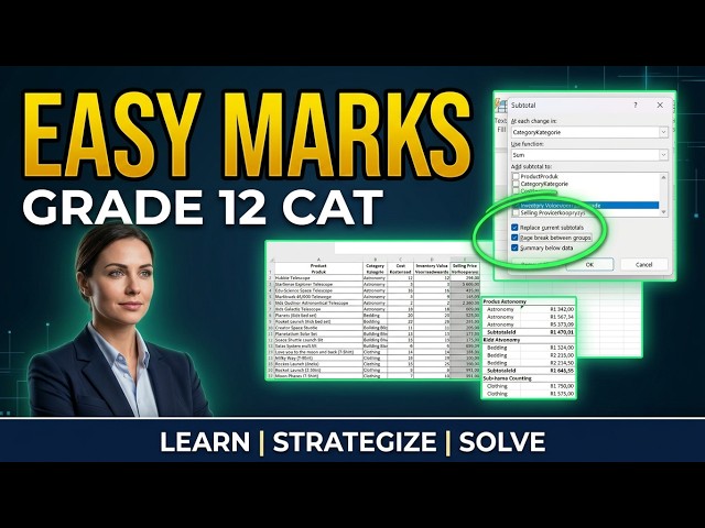 Grade 12 CAT Nov 2024 P1: The Last Spreadsheet Question