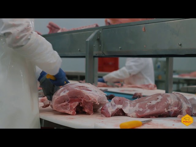 Malu Meat Processing Factory