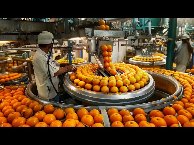 Satisfying Videos of Workers That Work Extremely Well, I Can t Stop Watching It 🇺🇸