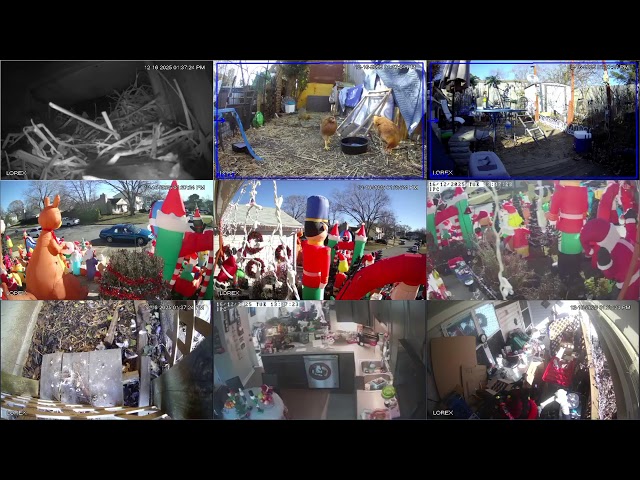 Cluck around and Find Out