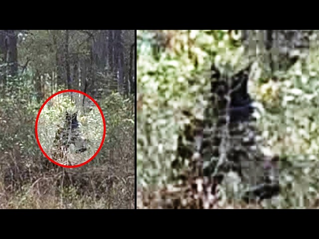 10 Unsolved Mysteries That Will Leave You Questioning Everything