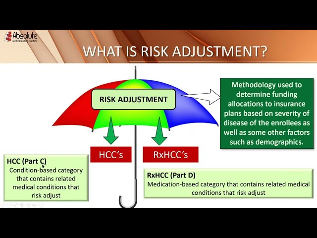 HCC Coding for Beginners by Shirley Daniels for AMCI
