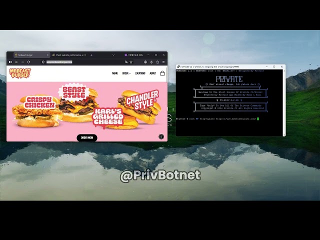 Private C2/Botnet VS mrbeastburger.com | BEST & NEWEST C2/BOTNET OF 2025! | TOP BYPASSES