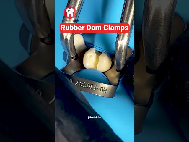 Rubber Dam Clamps #shorts
