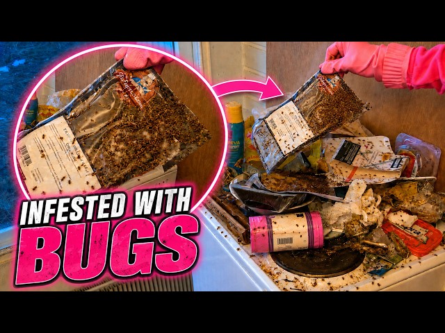 An IMPOSSIBLE Clean! | Satisfying ASMR Cleaning | Clean With Me!