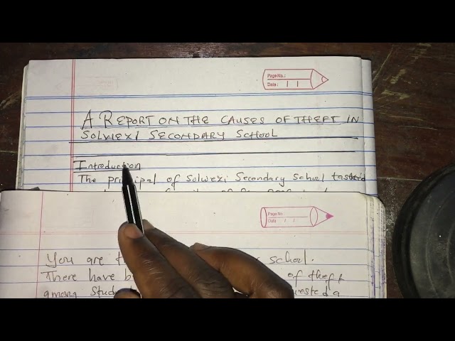 ENG INVESTIGATIVE REPORT