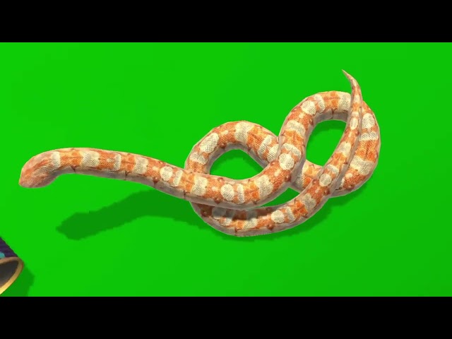 Snake Attack Green Screen -Giant python Titanoboa -(50+ shorts For Effect Video)