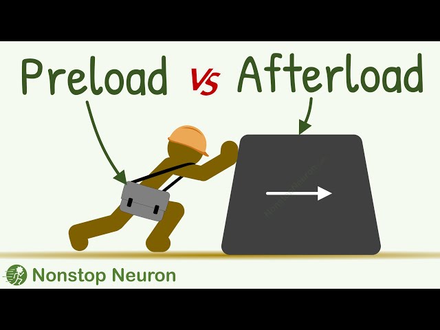 Preload vs Afterload