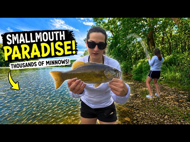 When There's THIS Much Bait...You Expect GIANTS!