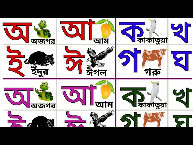 Learn Bengali Alphabet | Vowels A A E E | Consonants A K K G D | bangla bornomala | KIDS ZONE