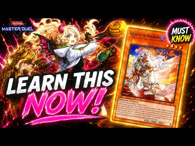 LEARN THIS NOW! New Branded Support Mini Guide | Yu-Gi-Oh! Master Duel