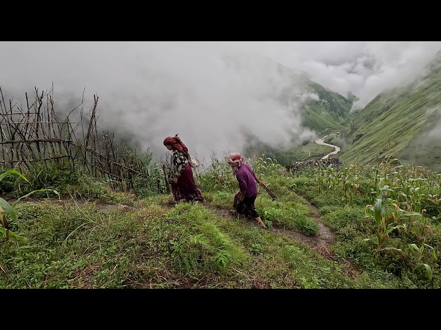 himalayan village life || @villagefoodkitchen ||