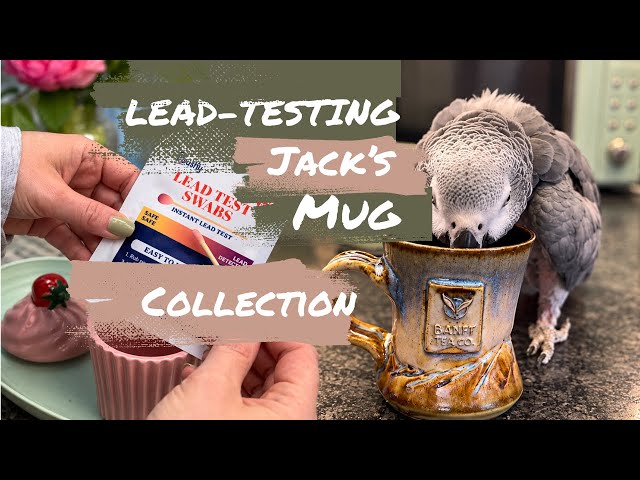 Testing The Parrot’s Tea Mugs FOR LEAD