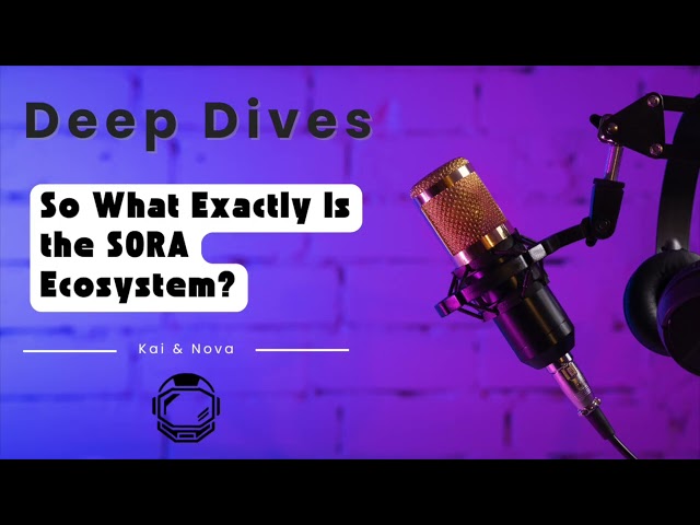 So What Exactly Is the SORA Ecosystem?