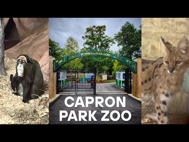 Capron Park Zoo 🦁  | THINGS TO DO IN ATTLEBORO, MA