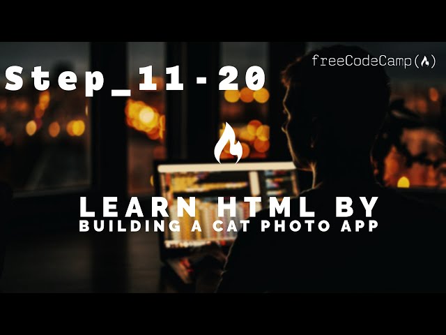 Learn HTML by Building a Cat Photo App: Solutions Step 11-20 / freeCodeCamp