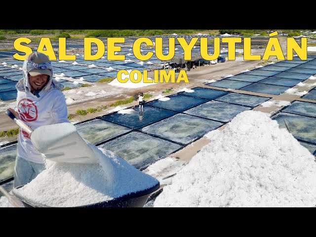 ¿La Mejor Sal de México?🧂La Producción de Sal en Colima