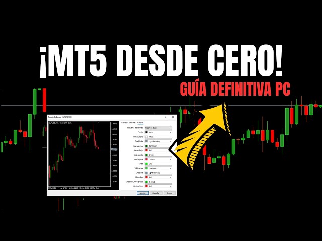 How to use METATRADER 5 (MT5) on PC: Tutorial from ZERO 2026