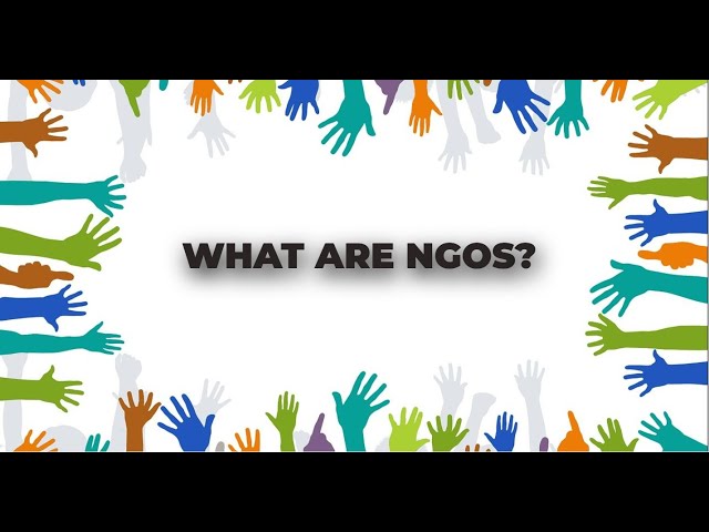 What are NGOs? Their Purpose and Role Explained.