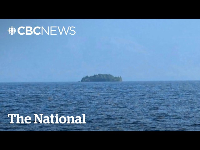 Mysterious island appears, then disappears, on northern B.C. lake