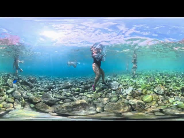 Freediving With Fins and Mask Across Hidden Mediterranean Reefs | 8K 2026