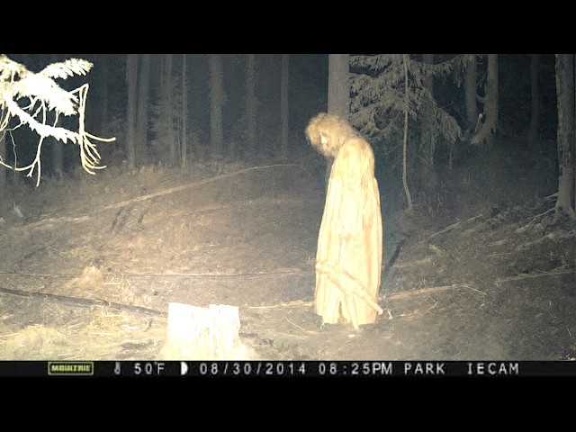 7 Times Cameras Caught Disturbing Forest Encounters