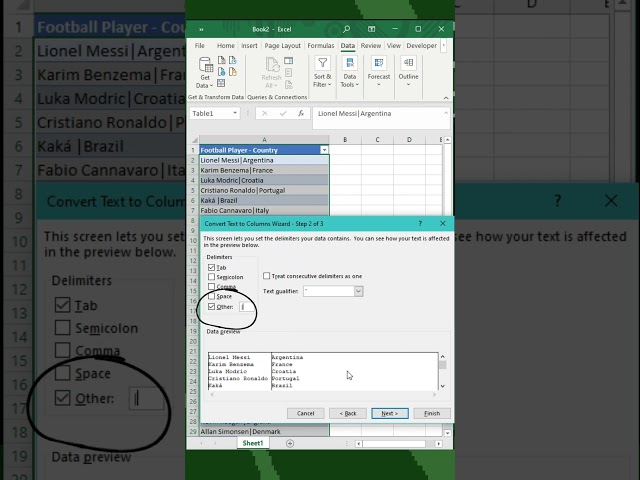 How to Split Text-to-Columns: Data Cleaning Excel Guide #excel