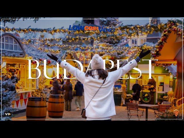 Budapest Christmas Market  | Low Cost Vibes