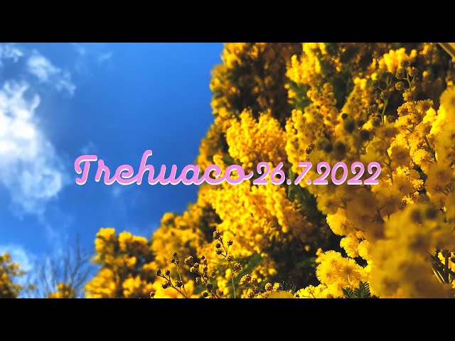 Trehuaco Vlog 2022
