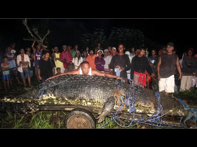Top 10 Giant Animals That Will Shatter Your Reality!